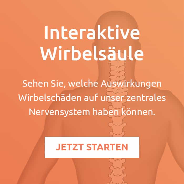 American Chiro Care Gbr Brühler Straße Bonn Chiropraktik Praxis in Bonn | American Chiro Care